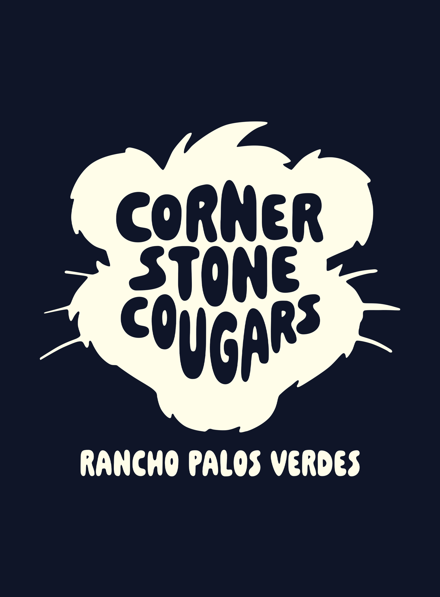 Youth: Cornerstone Playground Tee - Navy