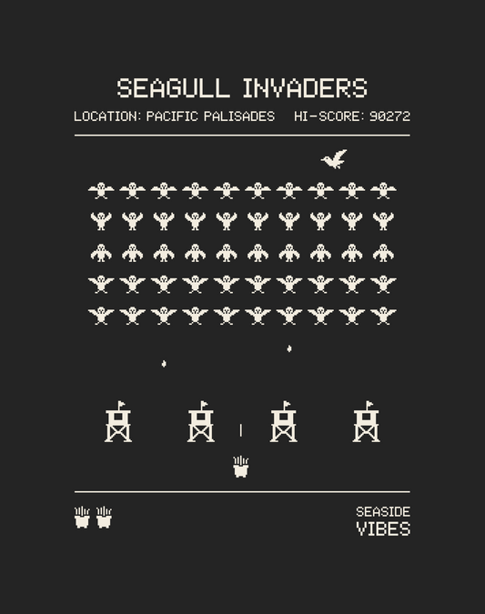 Pacific Palisades Seagull Invaders Tee - Cotton Blend | Charcoal