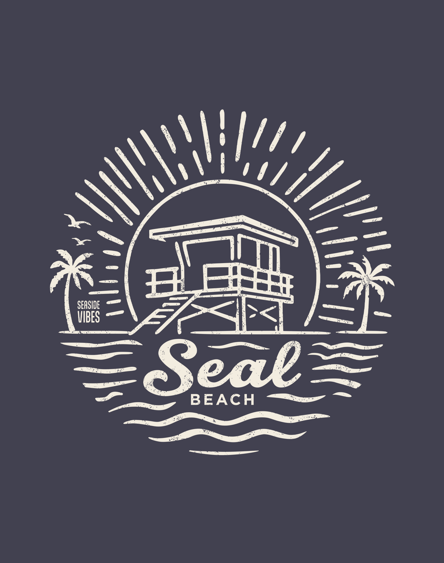 Unisex: Seal Beach Sunrise Session Tee - 100% Cotton | Navy